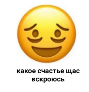 бомжатские будни sticker 1