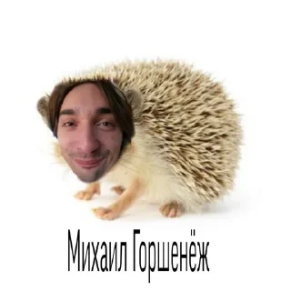 🌟 emoji ГОРШООООК Telegram sticker 3 of 18