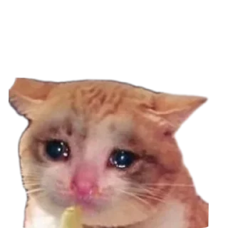 🐱 emoji Ла ла ла ла ла Telegram sticker 6 of 54