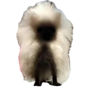 🐶 emoji Ла ла ла ла ла Telegram sticker 1 of 54