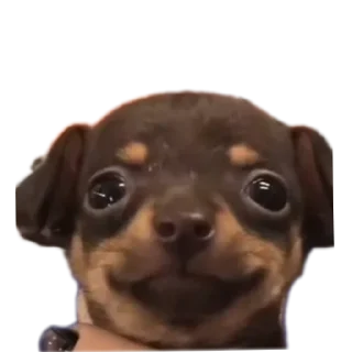 🤲 emoji Ла ла ла ла ла Telegram sticker 17 of 54