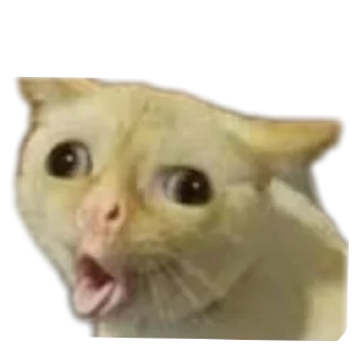 🐱 emoji Ла ла ла ла ла Telegram sticker 11 of 54