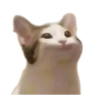 🐱 emoji Ла ла ла ла ла Telegram sticker 12 of 54
