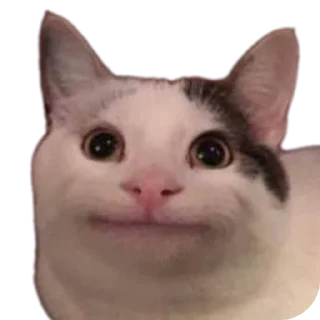 🐱 emoji Ла ла ла ла ла Telegram sticker 10 of 54