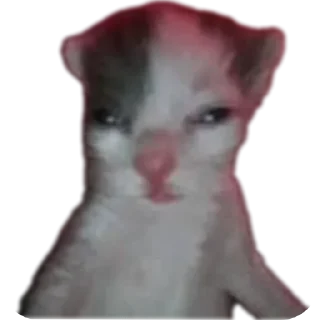 🤲 emoji Ла ла ла ла ла Telegram sticker 20 of 54