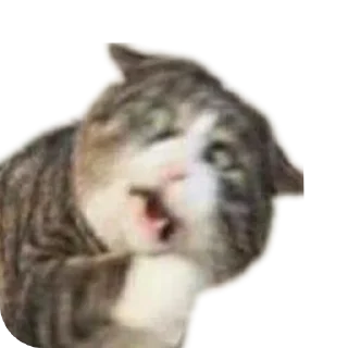 👄 emoji Ла ла ла ла ла Telegram sticker 7 of 54