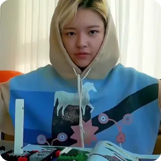 🌟 emoji @kpop_things_bot чонён 💋🌷🎀 ➡️ @Ctikerubot Telegram sticker 8 of 30