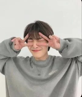 Sticker from Stray kids