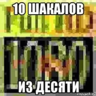 Sticker from шакалья жопа и аскарида