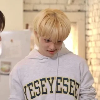 Sticker from ✩stray~kids✩