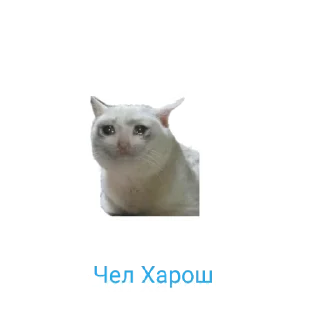 Sticker from Набор стикеров VIP