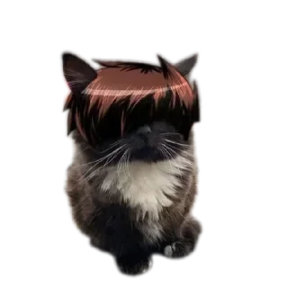 🐱 emoji @STICKRULE <- БОЛЬШЕ Telegram sticker 22 of 57