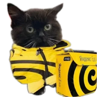 🐱 emoji @STICKRULE <- БОЛЬШЕ Telegram sticker 11 of 57