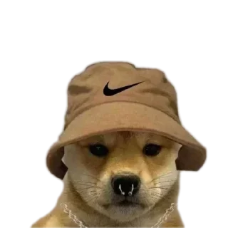 🐶 emoji @STICKRULE <- БОЛЬШЕ Telegram sticker 12 of 57
