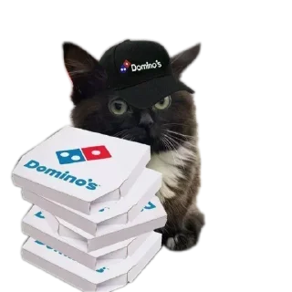 🐱 emoji @STICKRULE <- БОЛЬШЕ Telegram sticker 10 of 57