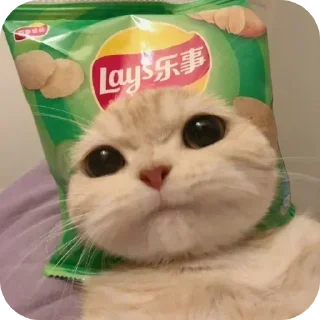 🐱 emoji @STICKRULE <- БОЛЬШЕ Telegram sticker 7 of 57
