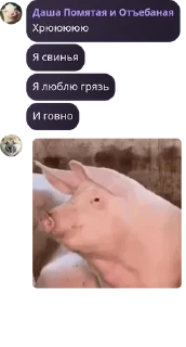 👨‍🦳 emoji Бухтелочка / Маркот чмо pack by @QuotLyBot Telegram sticker 12 of 114