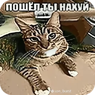 🖼 emoji Хз     Стикеры:@Bobrik228911 Telegram sticker 20 of 120