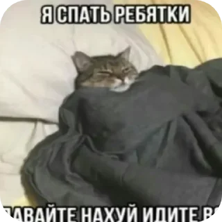 🐱 emoji Хз     Стикеры:@Bobrik228911 Telegram sticker 8 of 120