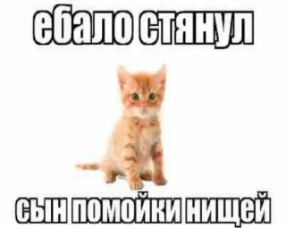 🥰 emoji Хз     Стикеры:@Bobrik228911 Telegram sticker 24 of 120