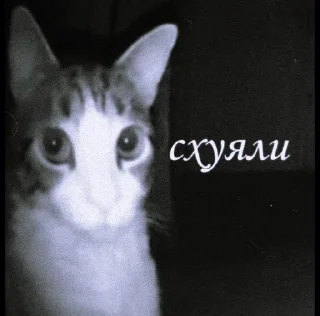 Sticker from матные котеке