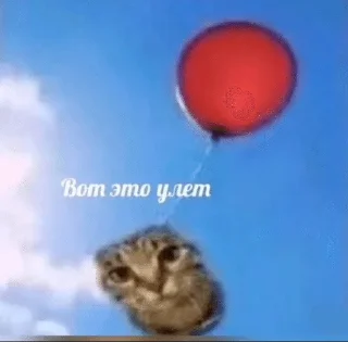Sticker from матные котеке