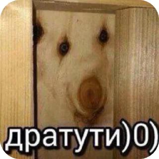 🐶 emoji Пук среньк Telegram sticker 10 of 94