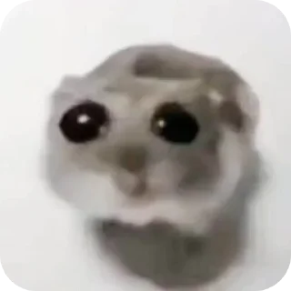 👍 emoji Пук среньк Telegram sticker 1 of 94
