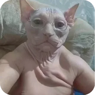 🙂 emoji Пук среньк Telegram sticker 5 of 94