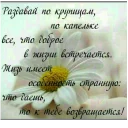 Sticker from ВЛВ