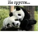 Sticker from ВЛВ