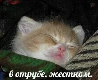 Sticker from смехуечки