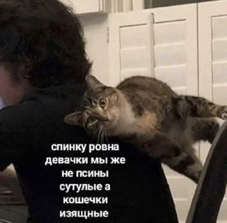 Sticker from смехуечки