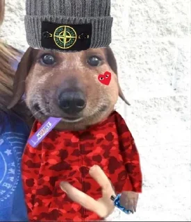 деловой колбас😊 sticker 2