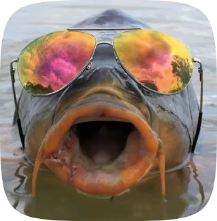 🐟 emoji 38 228 Telegram sticker 22 of 23