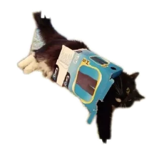 🤕 emoji 38 228 Telegram sticker 7 of 23