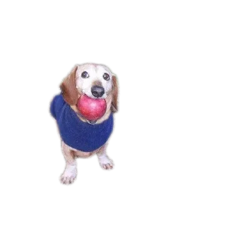 🤺 emoji 38 228 Telegram sticker 3 of 23