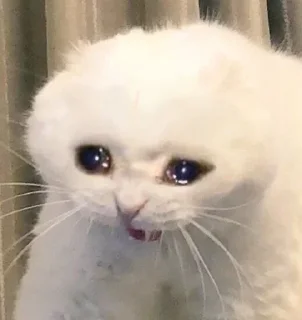 😭 emoji БОЛЬШЕ ⇨ @CLOOBHUB Telegram sticker 19 of 66