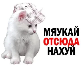 Sticker from сборная солянка by zinseens
