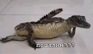 Sticker from ПИЗДЕЦ НАХУЙ БЛЯТЬ
