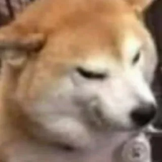 😡 emoji бурда какая-то Telegram sticker 5 of 31