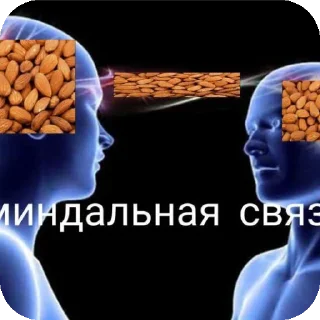 Sticker from Помидор @Lopok_WH