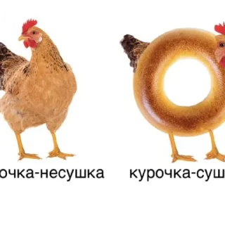 Sticker from Помидор @Lopok_WH