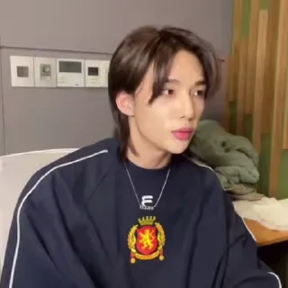 Sticker from ⌗hyunjin fr stray kids @archlwood