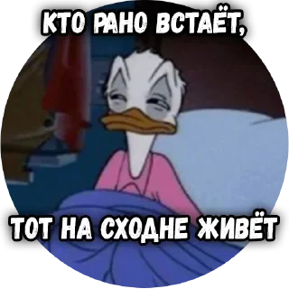 😴 emoji Типичные Химки @tipkhimki Telegram sticker 13 of 20