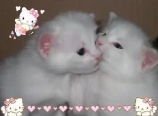 😔 emoji стикеры химки @kezkfi Telegram sticker 14 of 27
