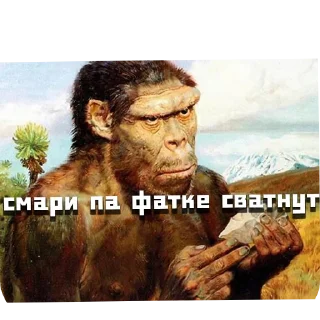 🖼 emoji Типичные сролли Telegram sticker 14 of 44