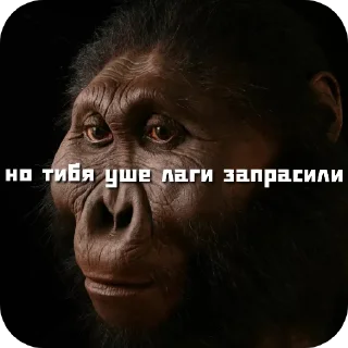 🤲 emoji Типичные сролли Telegram sticker 16 of 44