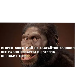 Sticker from Типичные сролли