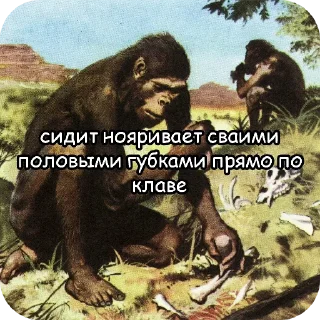 🖼 emoji Типичные сролли Telegram sticker 23 of 44